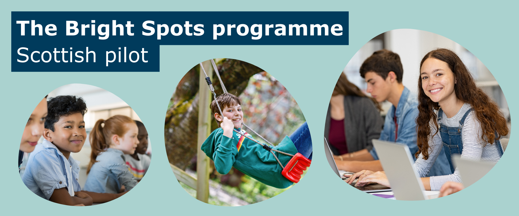 Bright Spots webpage graphic (1).png